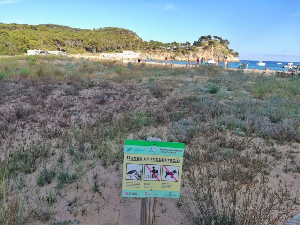 IMG 20230604 185257 01 scaled