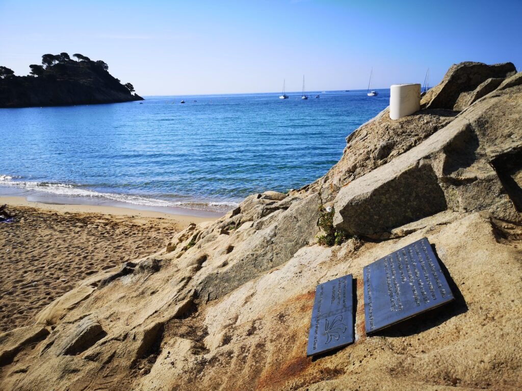 IMG 20230811 095018 scaled 1