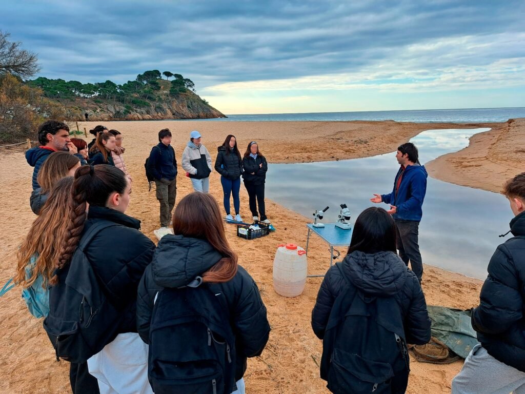 7d85b2d3 b992 4189 8326 93cbdfc07340 1