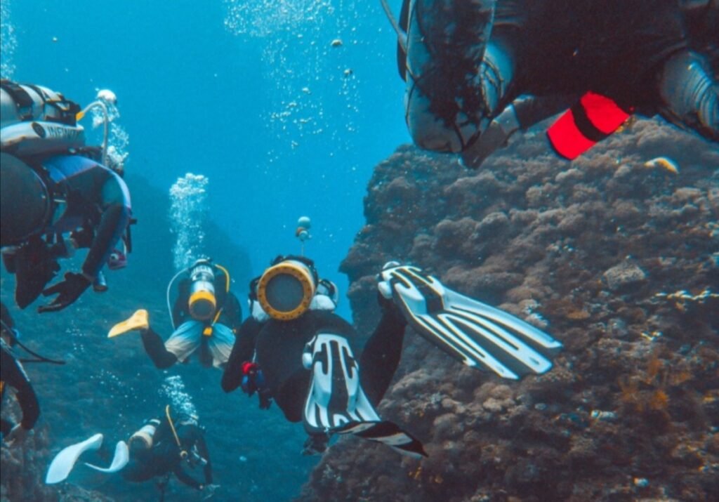 7ed4d744 2a0b 4dae a0e7 a43637c9c2fd 1