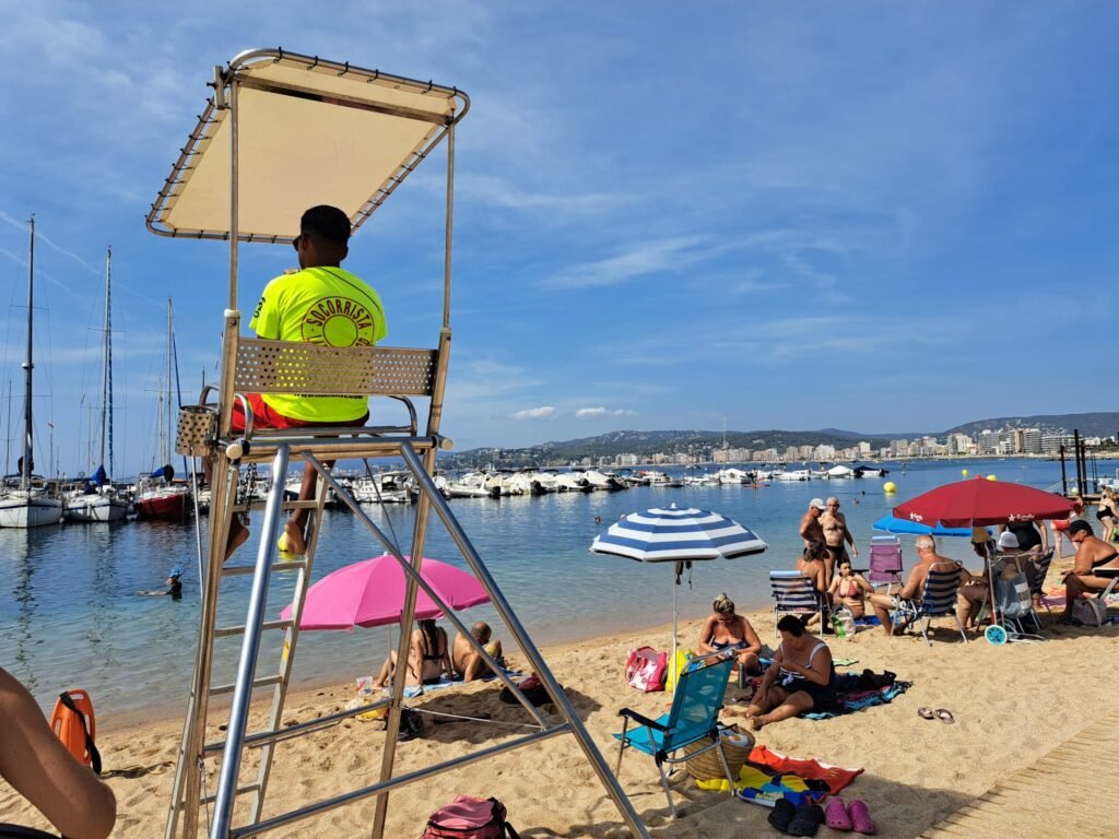 d6bb1284 ae8d 4d06 849d 75872f4d5fea scaled 1