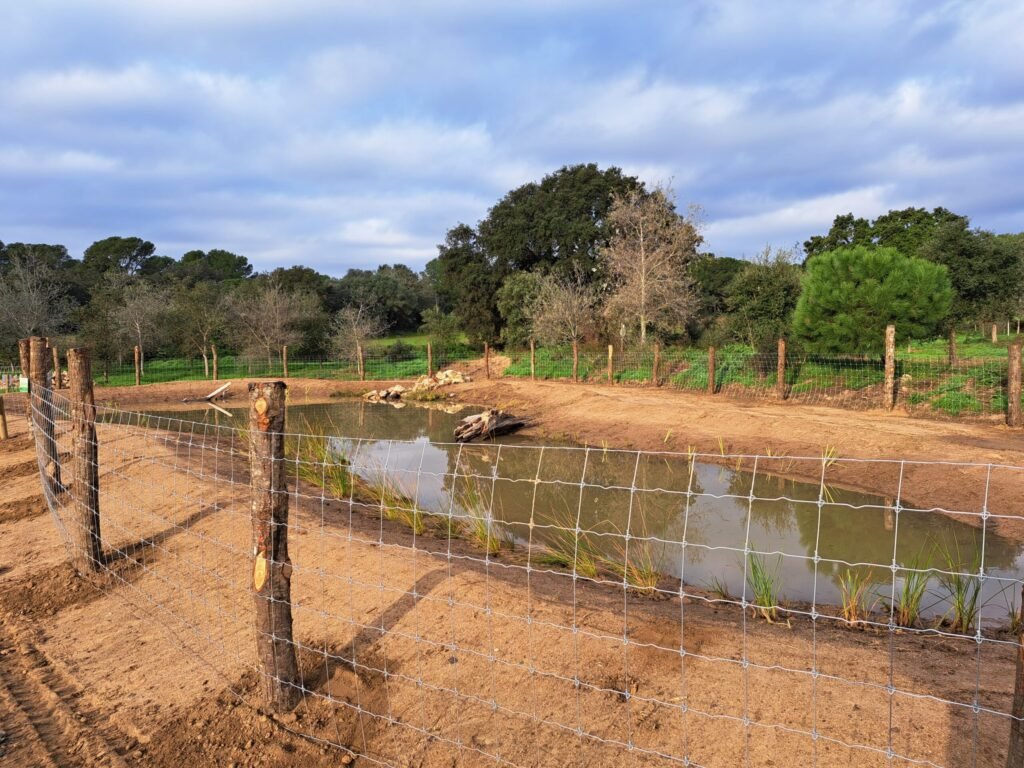 e4c97d5e 738c 42d2 87d4 653e5964608a scaled 1