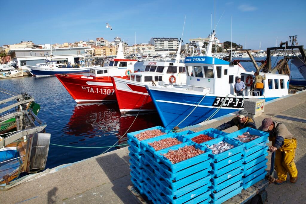 MG 3523 Moll pesquer Foto Jordi Geli Museu de la Pesca 1