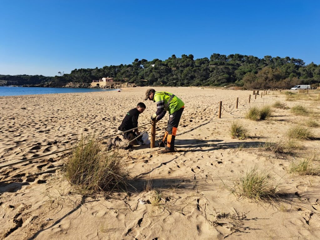 ffca0fca 1bfb 4d11 86b5 3dd88191dc9c scaled 1