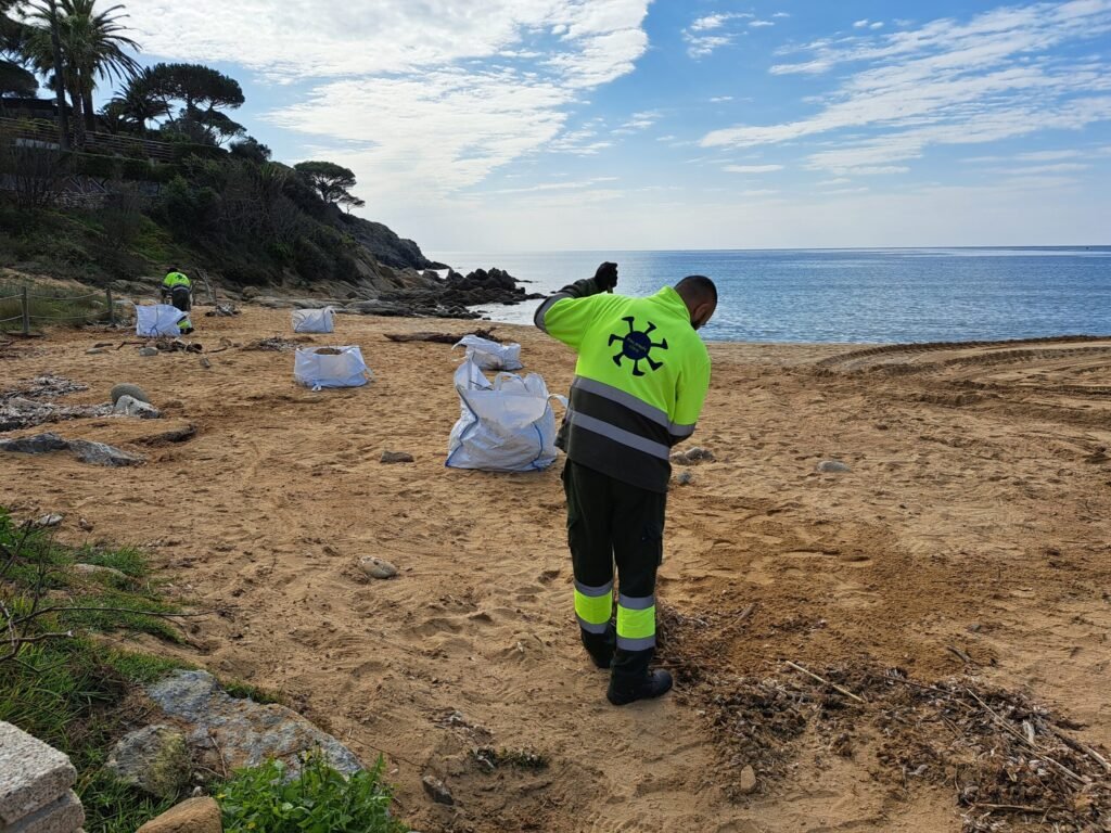 2ff37fd9 a378 4c87 835f cd3e8460ac15 scaled 1