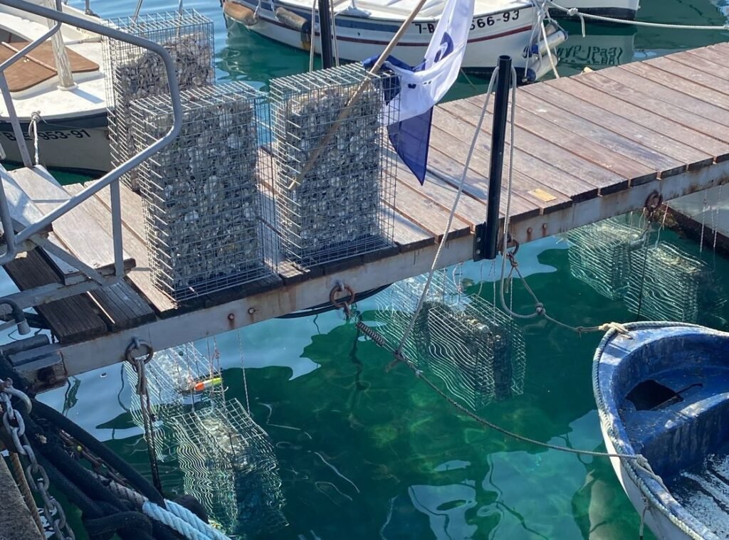 d5349b8a f66a 4b3c 82ef b4cb1b1b1285 copia 1