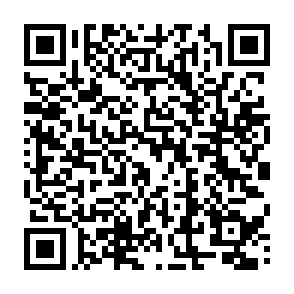 qrcode 13 abril 1 1