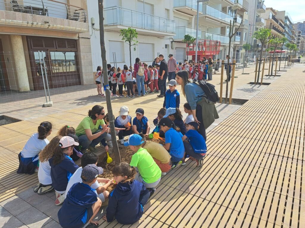 La part reformada del passeig del Mar acull la nova edició de la Festa de l’Arbre 2 fe082cc4 b07a 4328 a3fa 4ccc690f3eb8 1024x768 1