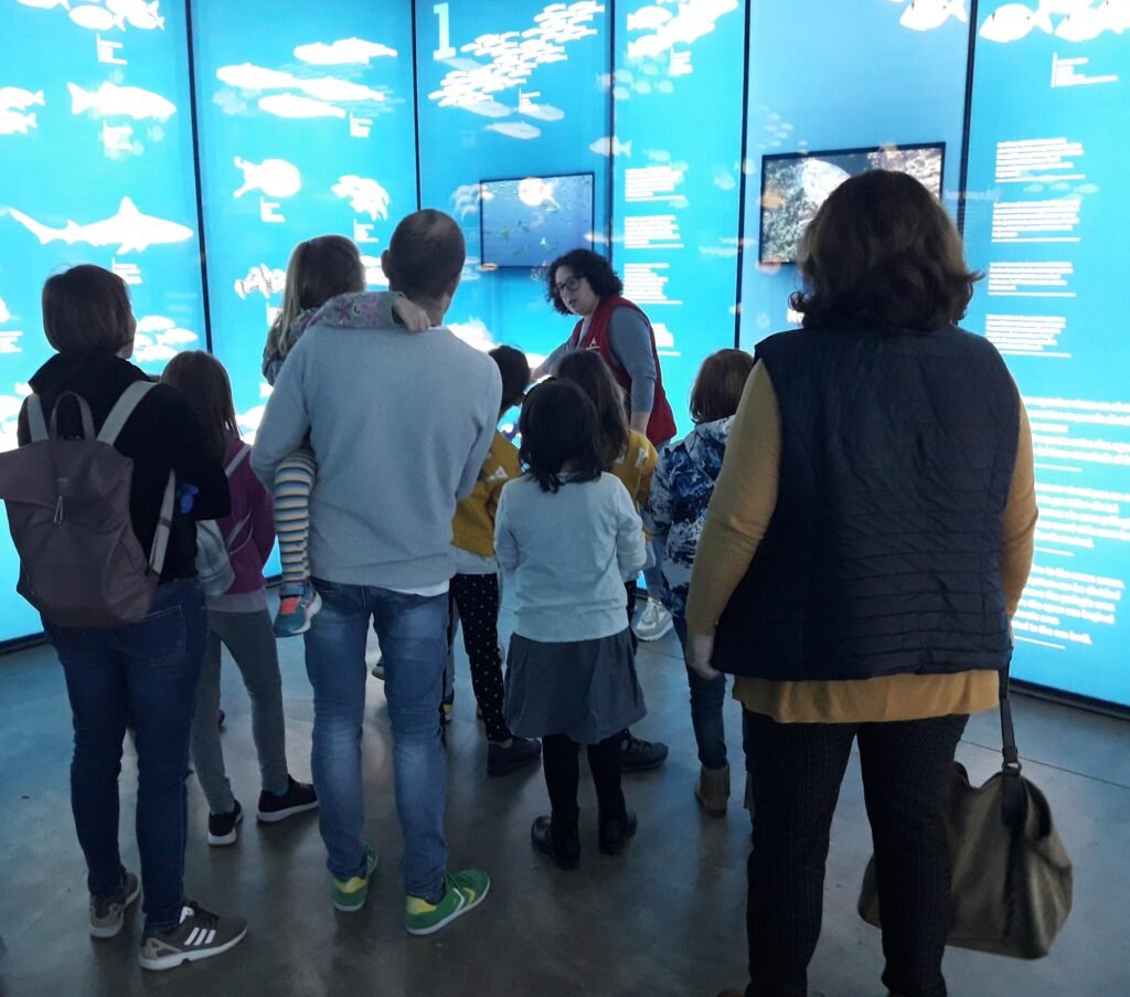 VG Museu de la Pesca 2 2 1