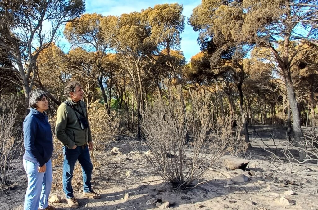 0025a1cd 72e6 466b a139 c8377e27698e copia 1