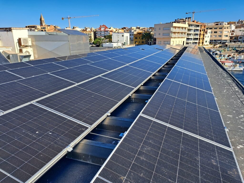 e3526c24 2ff2 4212 b6c1 7f46430ad93b 1 1