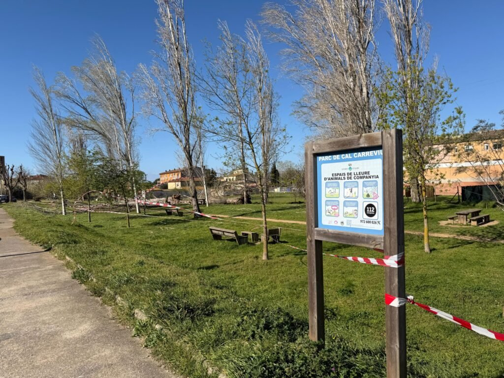 863d6c62 3c17 4a88 8df6 84d1e1dea9cb scaled 1