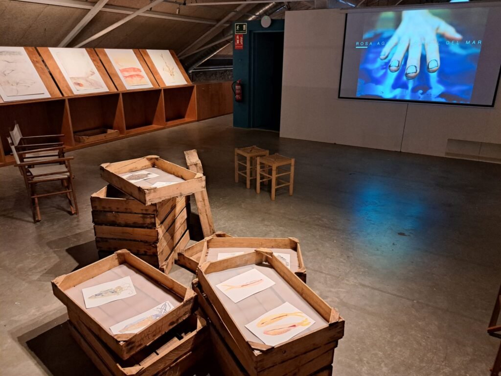 d1754fe0 fb81 4616 9165 e9d60ef329ff 1