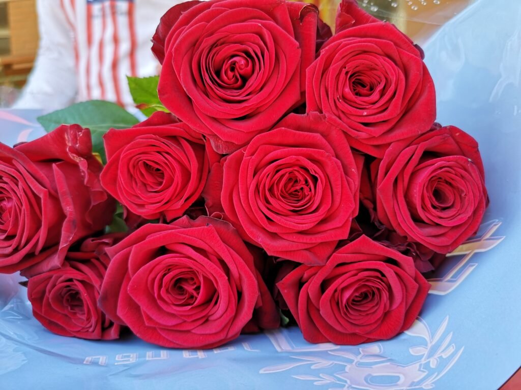 IMG 20210423 101826 1024x768 1