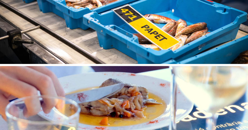 Visita guiada a la subhasta i a l'Espai del Peix amb tastet 1 subhasta espai de peix amb tastet