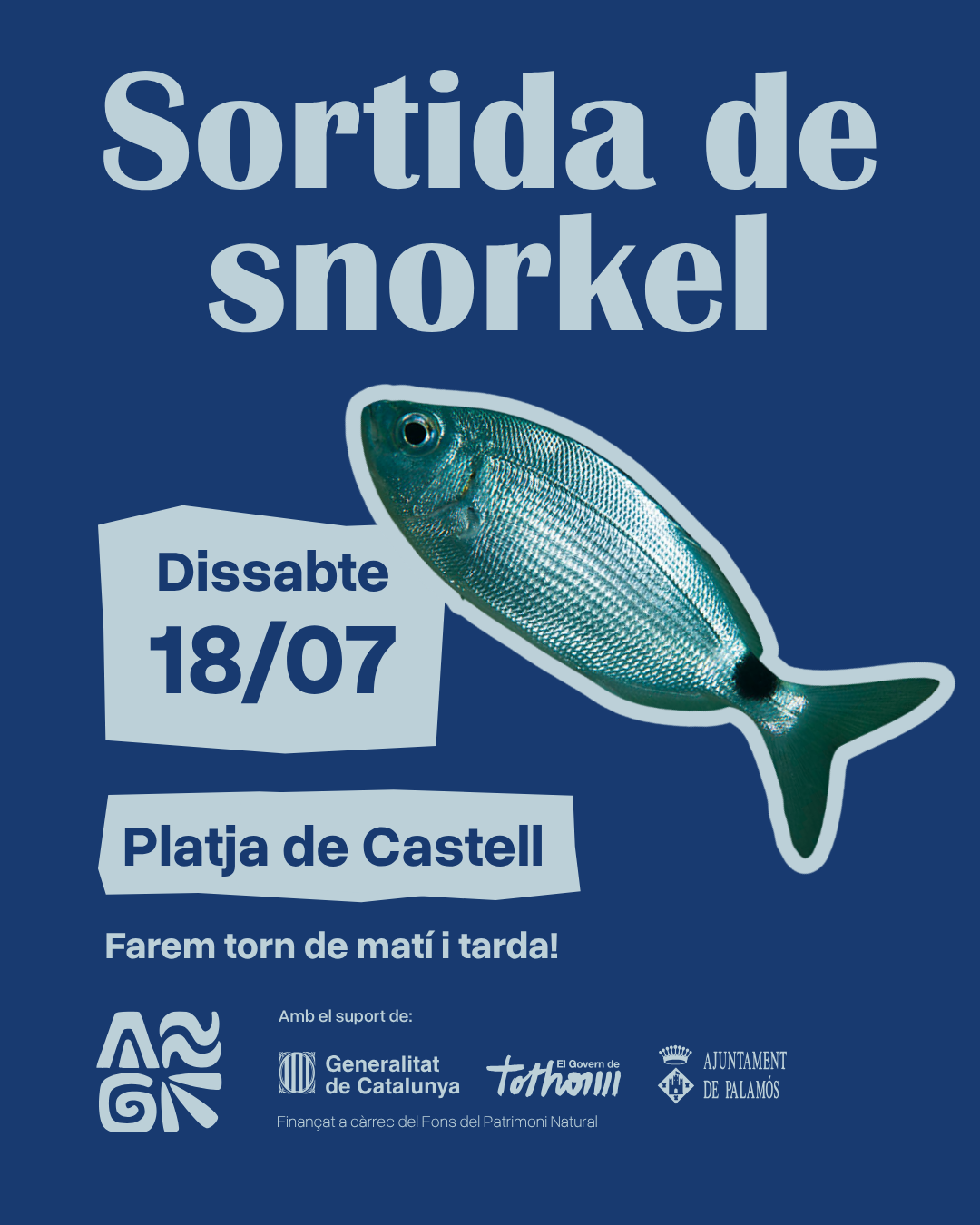 Sortida de snorkel 1 Sortida de snorkel 18 07